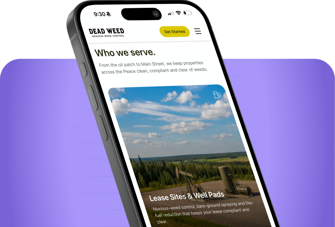 The website on a phone, kept up to date automatically