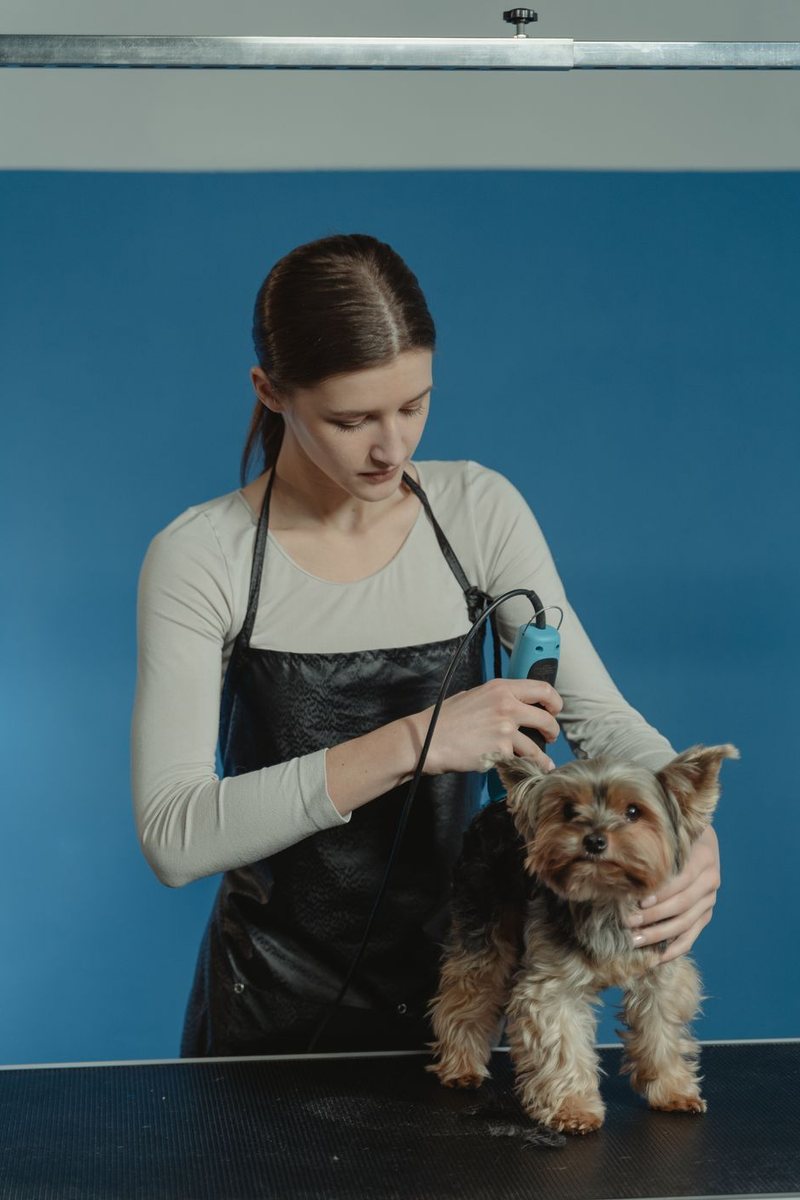 Pet grooming